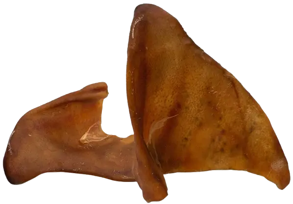 Nibblers