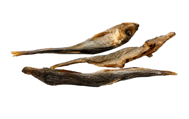 Mini Fish