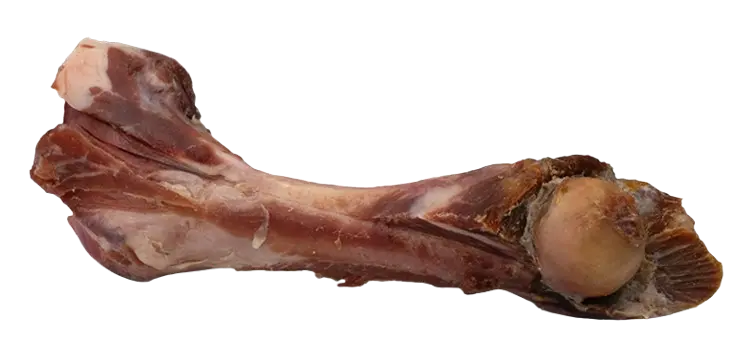 Femore