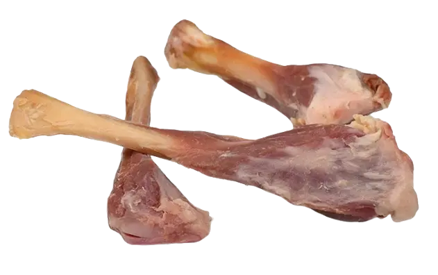 Fibula