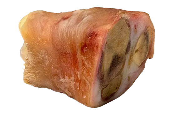 Ginocchia