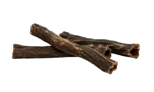 Tube