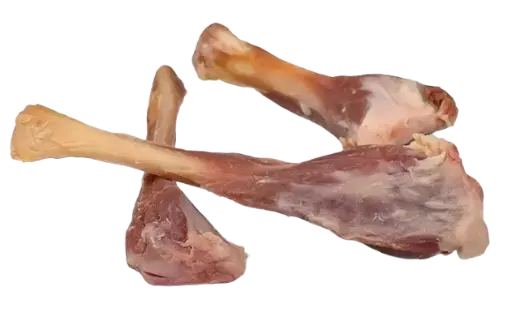 Fibula